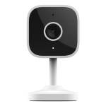 IP CAM WIFI DA INTERNO 2900